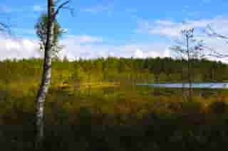 Bild Herbst